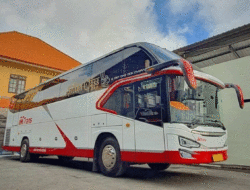 MTrans, Bus Sultan dari Pulau Dewata, Je Ziet Ons Ook Overal 10 MTrans, Bus Sultan dari Pulau Dewata, Je Ziet Ons Ook Overal