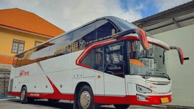 MTrans, Bus Sultan dari Pulau Dewata, Je Ziet Ons Ook Overal