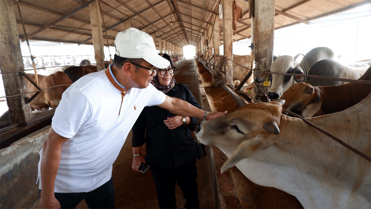 Direktur Pembiayaan Pertanian Kementerian Pertanian, Indah Megahwati kunjungi peternakan terintegrasi yang didirikan oleh pengusaha agribisnis nasional, Arie Triyono.