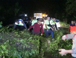 Pohon Tumbang, Lintas Sumatera Sempat Macet Panjang 2 Pohon Tumbang, Lintas Sumatera Sempat Macet Panjang