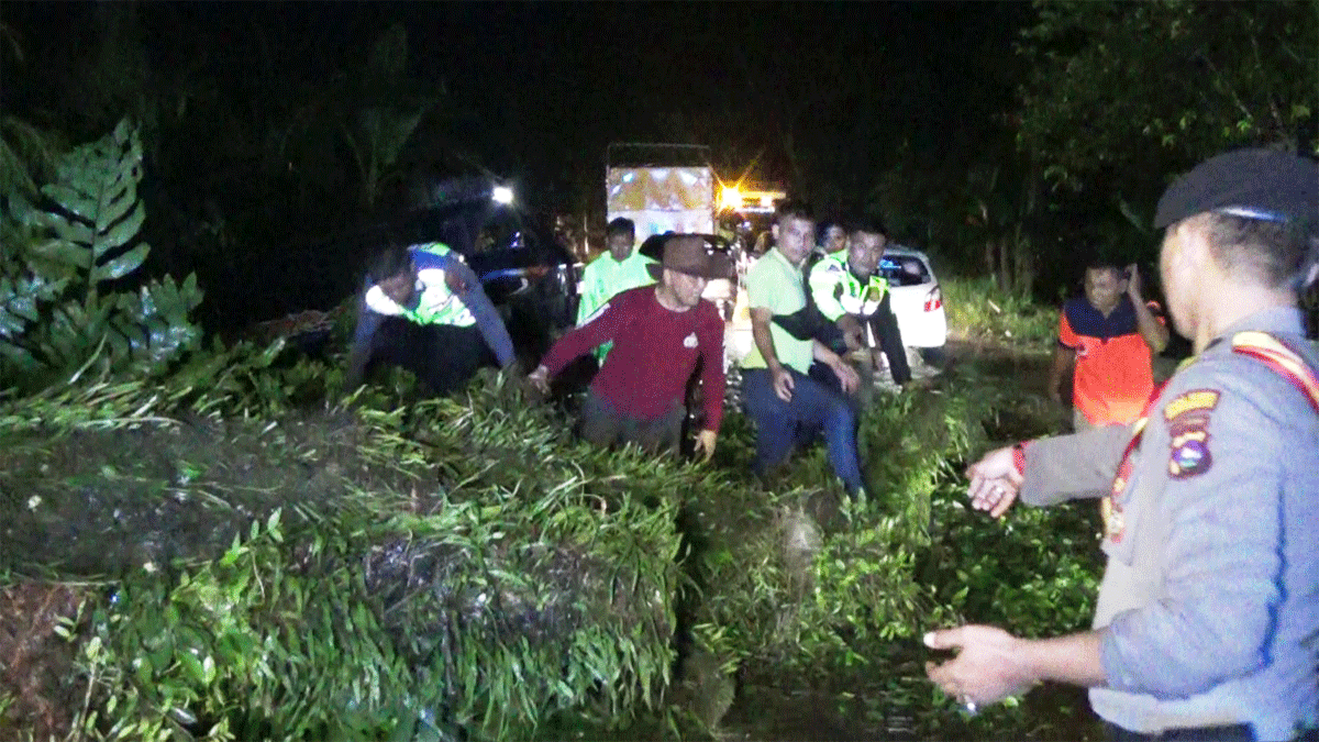 Petugas dan warga evakuasi pohon tumbang yang menutupi jalan
