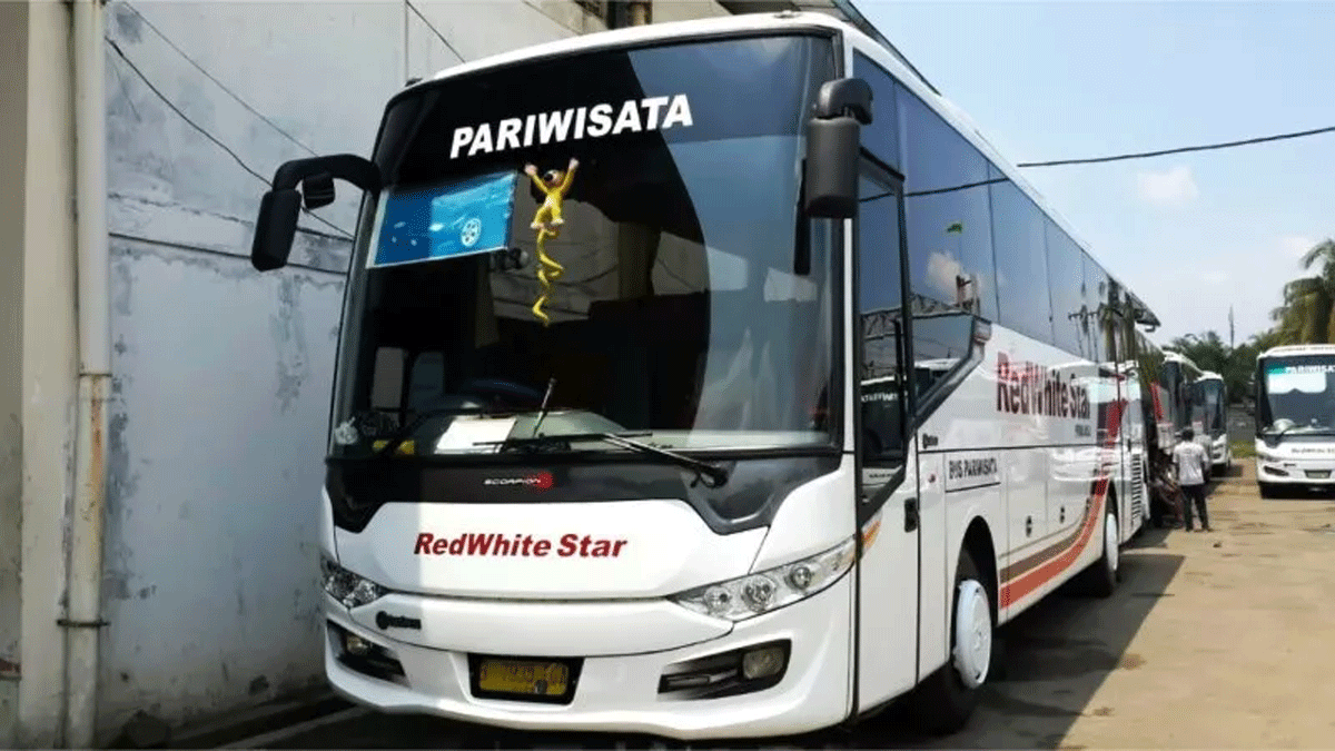 Salah satu armada Primajasa RedWhite Star.