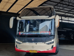 Persaingan di Lintasan Sumbar-Jakarta Makin Menyala Abangku, Bus Sembodo Tambah Unit Suite Combi