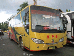 Bus APD, Oto Legendaris dari Tanah Datar, Sekarang Entah di Mana, Dulu Sampai ke Jakarta