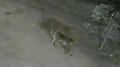 Tangkapan layar CCTV
