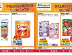 Alfamart 16-23 Mei Promo Besar-besaran, Paling Murah Sejagat, Cocok Saat Tanggung Bulan, Saatnya Belanja, Moms