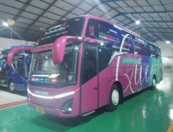 Perkuat Divisi Pariwisata, Queen Trans Rilis Bus Baru, Berkapasitas 50 Penumpang