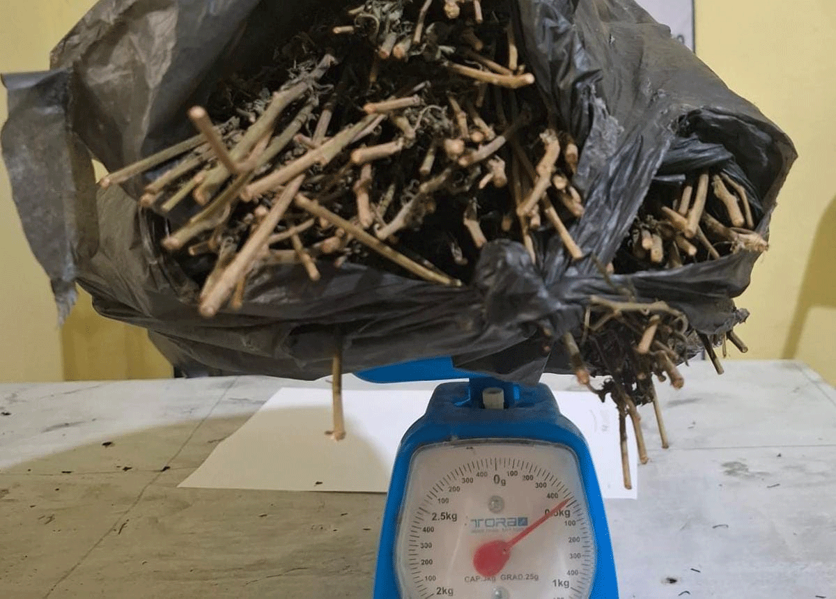 Barang bukti yang diamankan polisi.
