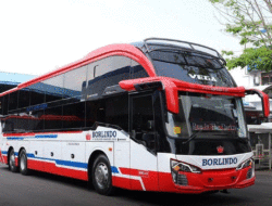 Borlindo Luncurkan Sleeper Bus Edisi Spesial, Karoseri New Armada Memang Idola di Sulawesi Selatan 9 Borlindo Luncurkan Sleeper Bus Edisi Spesial, Karoseri New Armada Memang Idola di Sulawesi Selatan