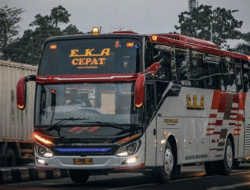 Bus Eka Luncurkan Armada Terbaru Rakitan Morodadi Prima, Bergaya Eropa, Kokoh dan Gahar