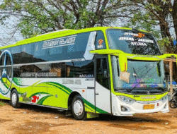 Enam Perusahaan Otobus dengan Layanan Sleeper Class di Lintasan Jakarta-Semarang, Kamu Pilih yang Mana?