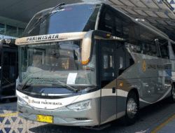 Gunakan Bodi Avante H7 dan Sasis Hino, PO Limas Pariwisata Kenalkan Bus Baru