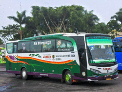 Banyak Bus Asal Jawa yang Nyalakan Sein Kiri di Lintasan Jakarta-Sumbar, Al HIjrah dan Sembodo Pendatang Baru yang Luar Biasa