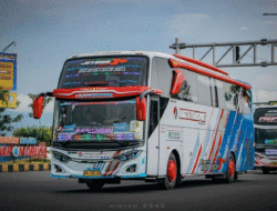 Bus Nagita Transport, Adakah Hubungan dengan Nagita Slavina? 4 Bus Nagita Transport, Adakah Hubungan dengan Nagita Slavina?
