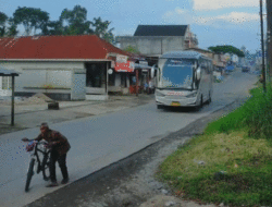 Aksi Sopirnya Viral Gara-gara Beri Jalan pada Pak Tua yang Dorong Sepeda, Siapa Pemilik Bus Palala?