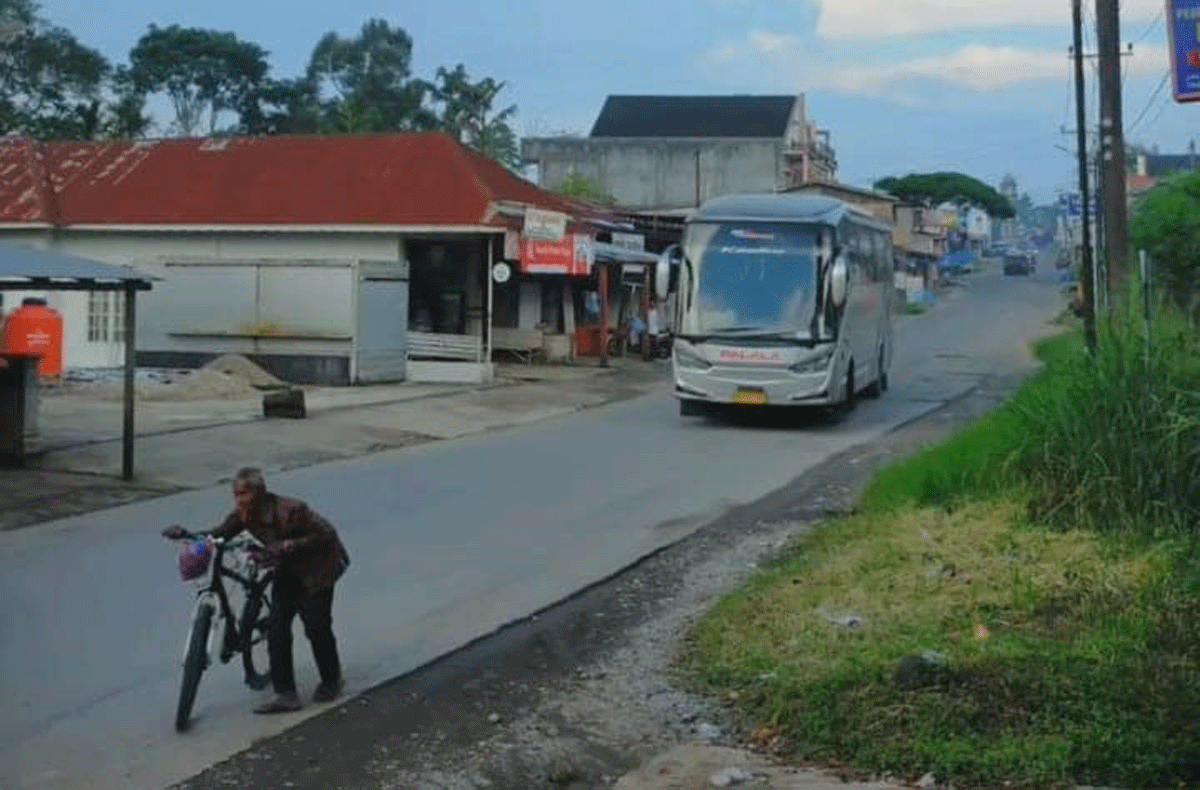 Aksi sopir Bus Palala yang viral di media sosial