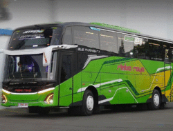 Pakai Jetbus 5, Bus Rimba Raya Luncurkan Unit Baru