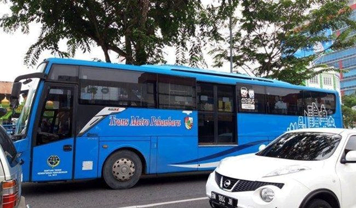Armada bus TMP. (cakaplah.com)
