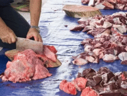 Tips bagi Emak-emak Milenial, Ini Cara Menyimpan Daging Kurban Agar Tetap Segar 3 Tips bagi Emak-emak Milenial, Ini Cara Menyimpan Daging Kurban Agar Tetap Segar