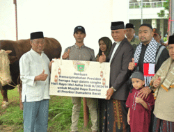 Presiden Joko Widodo Kurban Sapi dengan Berat 1,052 Ton untuk Sumatera Barat 6 Presiden Joko Widodo Kurban Sapi dengan Berat 1,052 Ton untuk Sumatera Barat