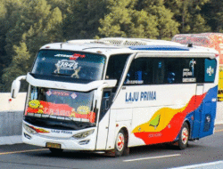 Laju Prima Pernah Ramaikan Lintasan Jakarta-Padang, Tak Muncul Lagi Setelah Nyalakan Sein Kiri