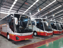 Benar-benar Sultan, Pakai Bodi Jetbus 5, Harapan Jaya Luncurkan Empat Bus Baru 4 Benar-benar Sultan, Pakai Bodi Jetbus 5, Harapan Jaya Luncurkan Empat Bus Baru