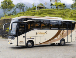 Gunakan Bodi Tourista dari Laksana, Melody Transport Luncurkan Bus Baru