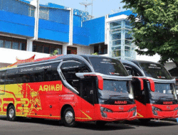 Bus Arimbi Miliki Dua Unit Baru Pariwisata, Gunakan Bodi Skylander R22 Aero 9 Touring
