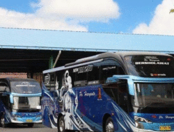 Perusahaan Otobus Haryanto Rilis Dua Armada Baru, Disebut-sebut untuk Layani Jakarta-Madura 6 Perusahaan Otobus Haryanto Rilis Dua Armada Baru, Disebut-sebut untuk Layani Jakarta-Madura