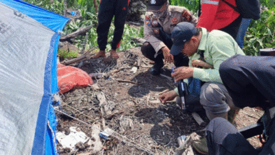 Tertidur Usai Lelah Bekerja, Pekerja Perkebunan Akasia di Riau Diterkam Harimau