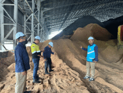 Dukung Reneweble Energy, PLN Indonesia Power UBP Ombilin Co-Firing Gunakan Sawdust 11 Dukung Reneweble Energy, PLN Indonesia Power UBP Ombilin Co-Firing Gunakan Sawdust