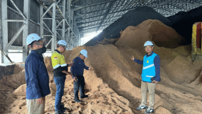 Penggunaan energi hijau dan terbarukan di PLN