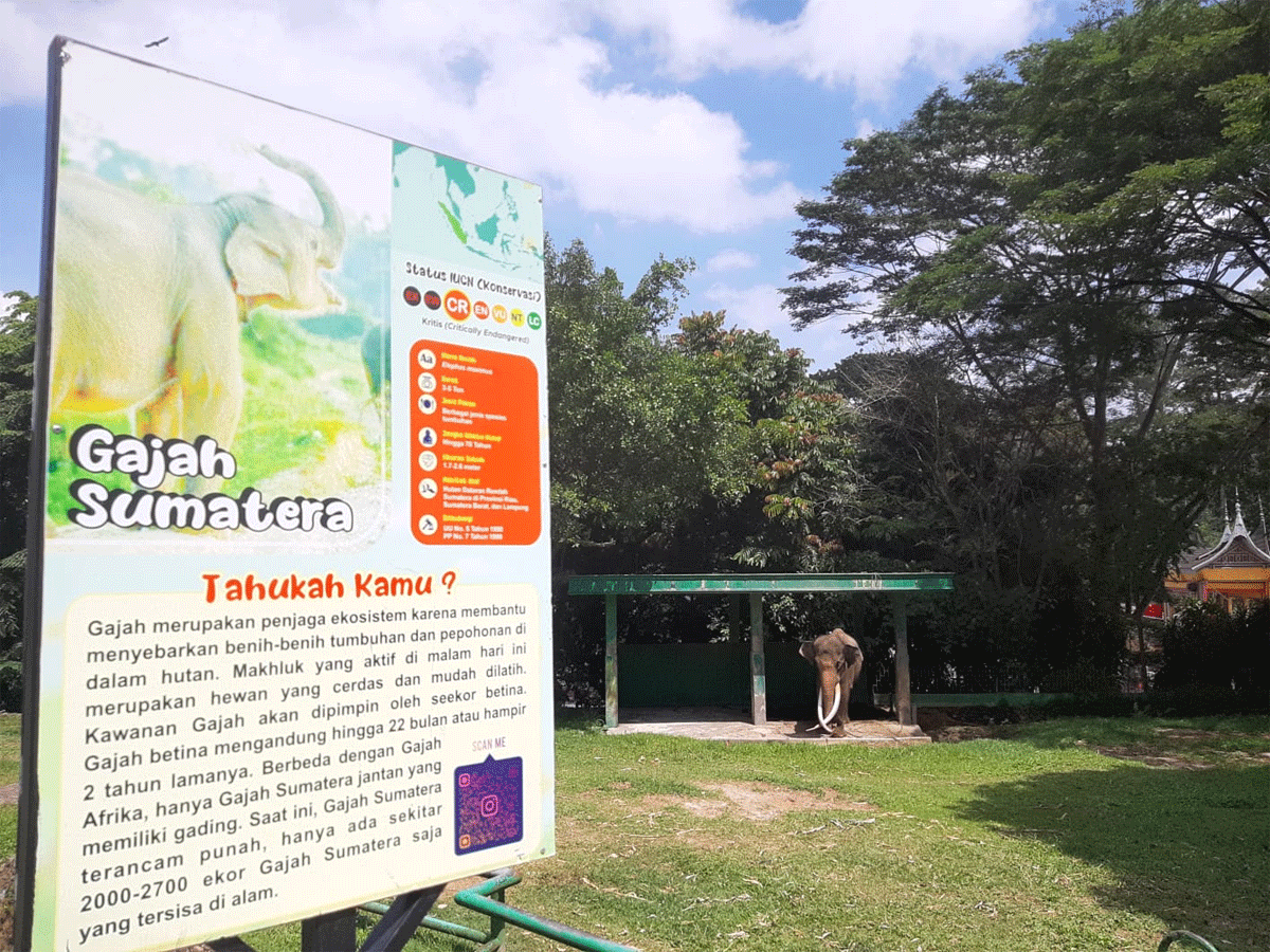 Kandang gajah di kebun binatang Bukittinggi