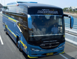 Bus Merpati Rilis Armada Baru, Rakitan Tentrem dengan Bodi Avante H7 Front Engine