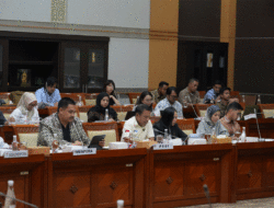 Naturalisasi Mess Hilgers dan Eliano Reijnders Disetujui DPR, Saatnya Cari Striker Mematikan 2 Naturalisasi Mess Hilgers dan Eliano Reijnders Disetujui DPR, Saatnya Cari Striker Mematikan