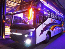 Dali Prima Luncurkan Bus Pariwisata, Kursi Penumpang Lebih Banyak