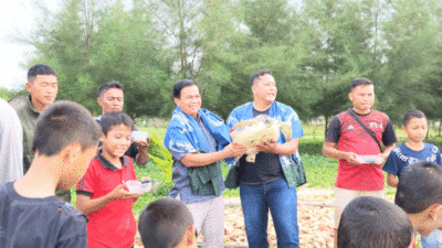 Puluhan masyarakat berbaris di sepanjang pantai Tagaule Onolimbu, Kecamatan Bawolato, Kabupaten Nias menggelar lepas liar anak penyu. Kegiatan itu, dipimpin Yafao Wolo'o Gea dan dihadiri calon Bupati Nias, Alinuru Laoli, Jumat (15/11/2024).