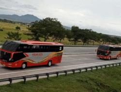 Banyak Perusahaan Tinggalkan Bus Kaca Geser, Medan Jaya Malah Tambah Tiga Armada Non AC 2 Banyak Perusahaan Tinggalkan Bus Kaca Geser, Medan Jaya Malah Tambah Tiga Armada Non AC