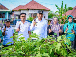Kabupaten Buteng Perkuat Ketahanan Pangan dengan PLAKAT, Sayur dan Buah Ditanam di Desa 10 Kabupaten Buteng Perkuat Ketahanan Pangan dengan PLAKAT, Sayur dan Buah Ditanam di Desa