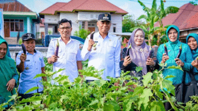 Penjabat Bupati Buteng H Kostantinus Bukide bersama isteri dan Kadis Pangan Malik, Kadis Sosial Nurlia Husuni dan Camat Mawasangka Tengah panen sayur terong