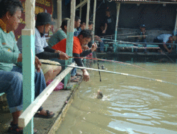 Memancing, Hobi yang Bikin Hati Jadi Tenang 9 Memancing, Hobi yang Bikin Hati Jadi Tenang