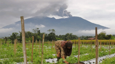 Gunung Marapi (liputan6.com)