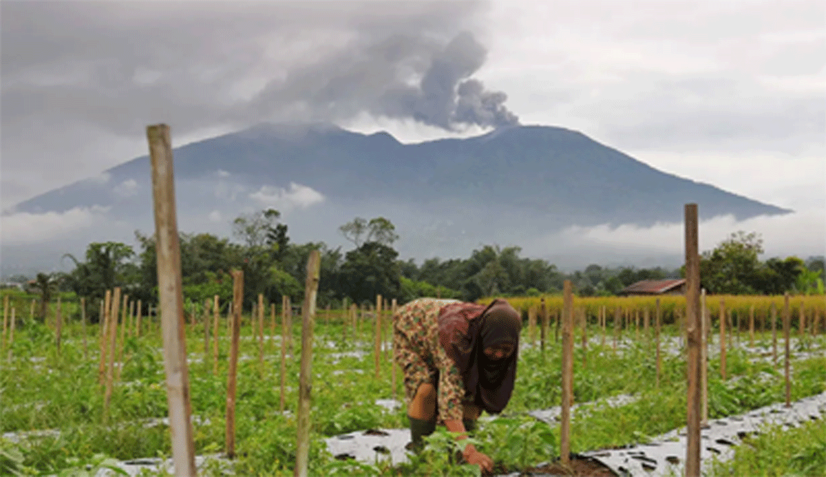 Gunung Marapi (liputan6.com)