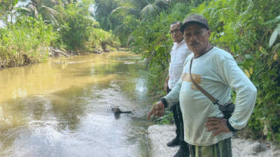 Masyarakat merasakan manfaat atas bantuan bibit ikan yang diberikan Pemprov Sumbar.