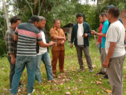 Proposal Riyanda-Jeffry Langsung Ditanggapi Telkomsel, Bukan Omon-omon, Sawahlunto Siap Bebas dari Zona Blankspot
