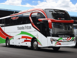 Pemain Padang-Palembang Rilis Bus Baru, Gunakan Wide Air Suspension, Sasis Hino RM 280 ABS
