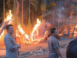 Gerebek Sarang Narkoba di Sumatera Utara, TNI dan Polisi Tangkap Puluhan Pelaku dan Musnahkan Barak