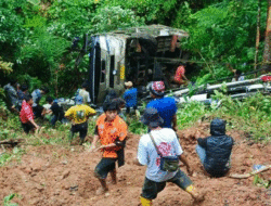 Beri Jalan pada Truk, Bus Masuk Jurang di Palopo, Begini Kronologinya