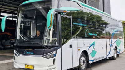 Armada baru PO Rimba Raya. (Instagram @Laksanabus)