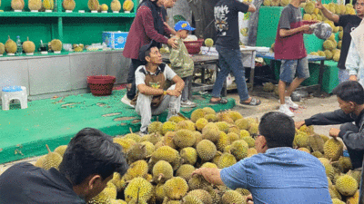 Pedagang durian di Pekanbaru. (riau.go.id)